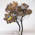 Le chant de l'oiseau