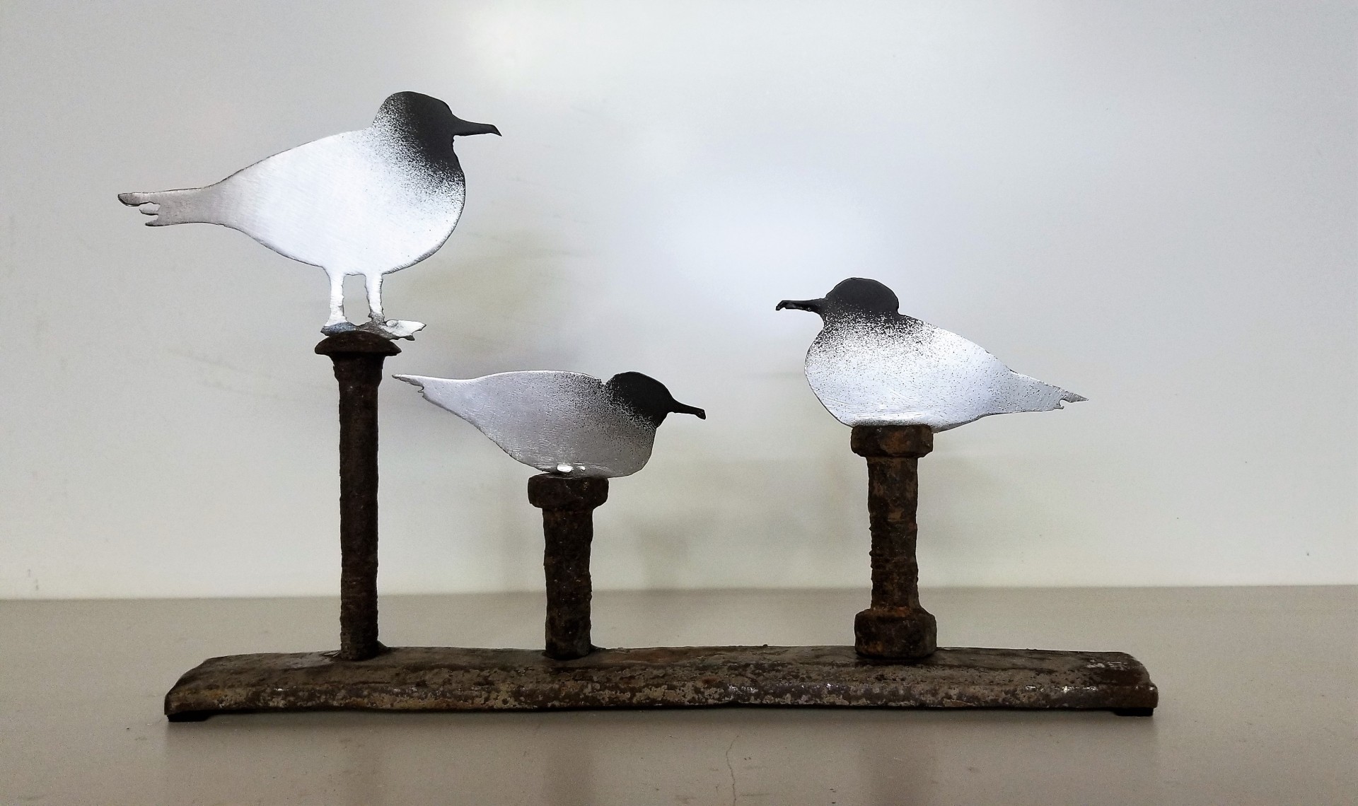 Mouettes au repos