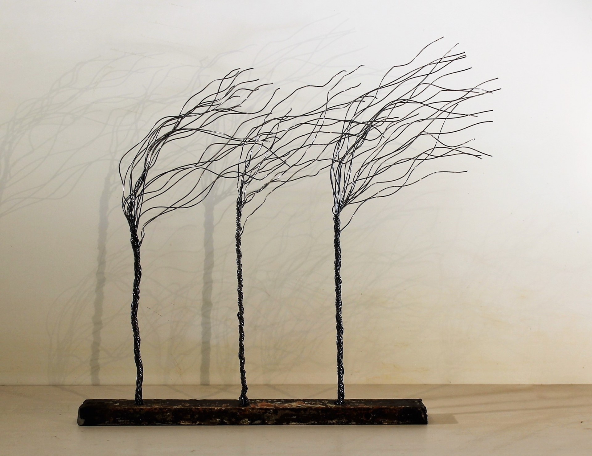 Trois arbres dans le vent
